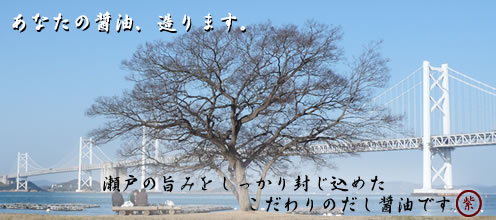 この木は地元ではもくの木と呼ばれています。
残念ながらここでは泳ぐことはできません。